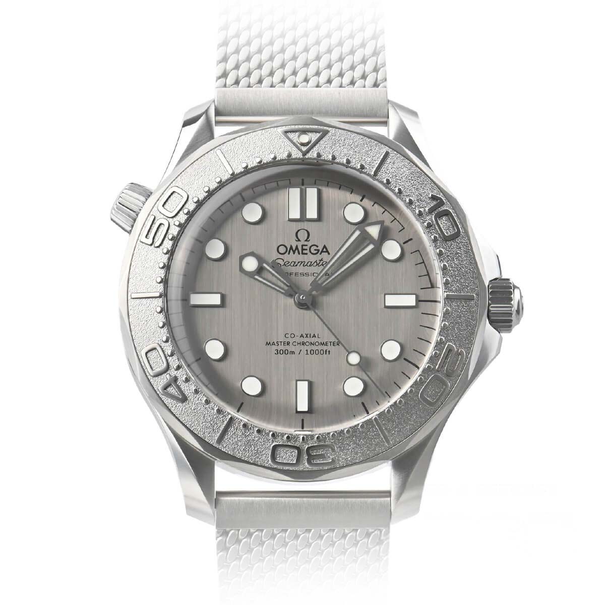 Seamaster Diver 300M 42.00 mm Grey Dial in Stainless Steel - 210.30.42.20.06.002