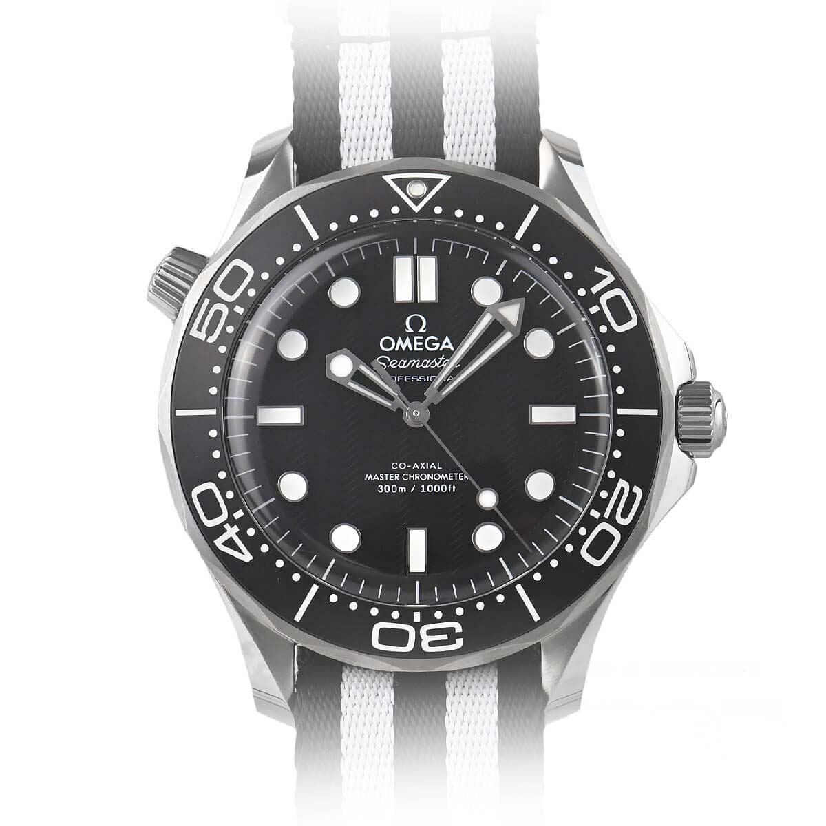 Seamaster Diver 300M 42.00 mm Black Dial in Stainless Steel - 210.32.42.20.01.005