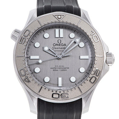 Seamaster Diver 300M 42.00 mm Grey Dial in Stainless Steel - 210.32.42.20.06.002