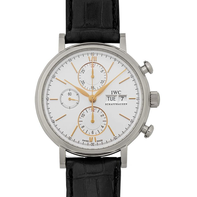 Portofino 42 mm Silver Dial in Stainless Steel IW391031