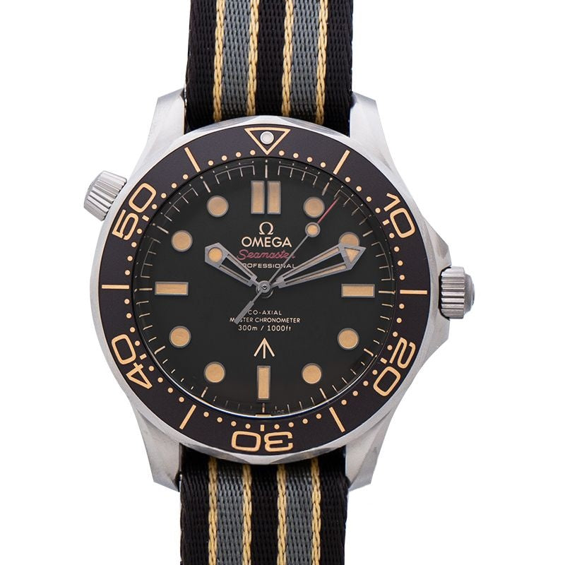 Seamaster 42mm Brown Dial in Titanium 210.92.42.20.01.001