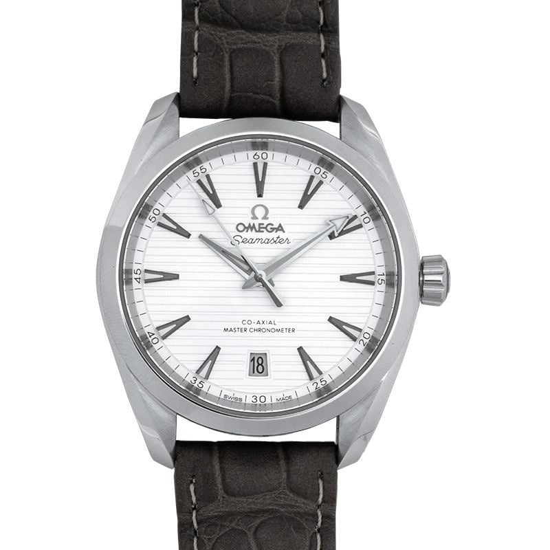 Seamaster 38mm Silver Dial in Stainless Steel 220.13.38.20.02.001