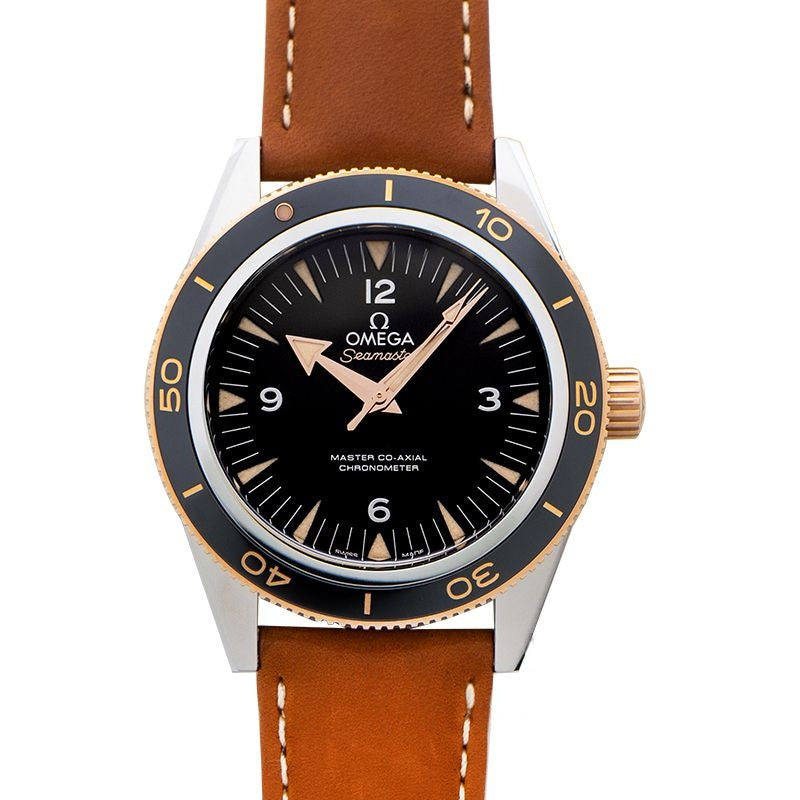 Seamaster 41 mm Black Dial in Stainless Steel 233.22.41.21.01.002